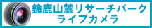 ϼ�ʤդ�ȡˤ��鸫���߽��