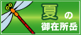 �V�[�Y����