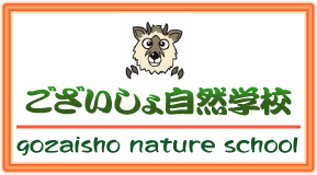 ���������厩�R�w�Z�ցI