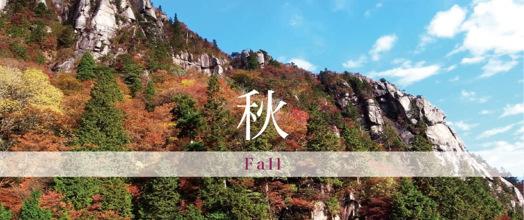 The Four Seasons of Mt. Gozaisho: Fall