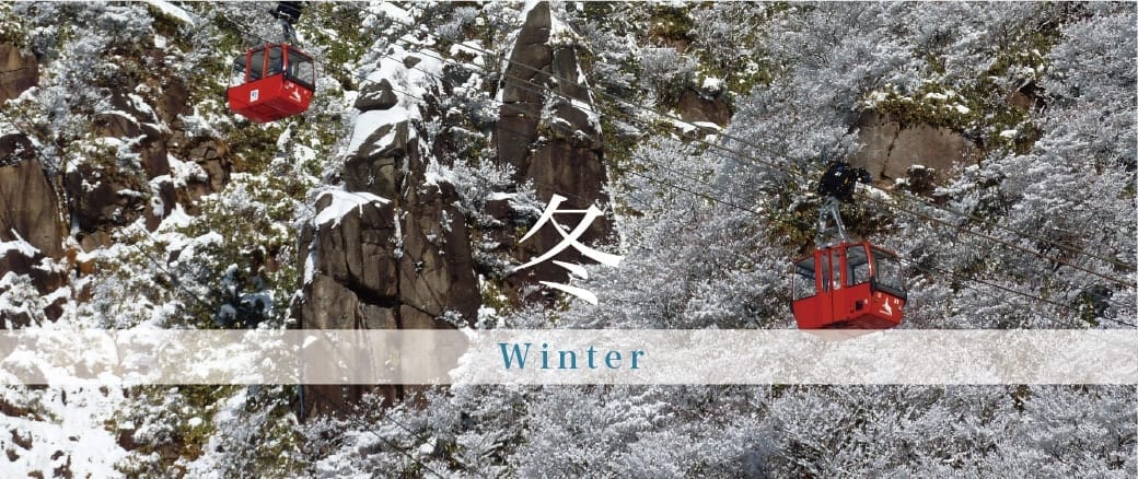 The Four Seasons of Mt. Gozaisho: Winter