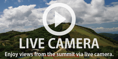 live camera