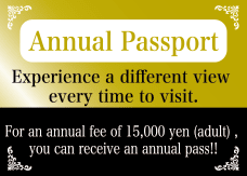 Annual pass