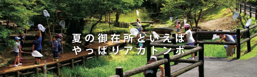 夏の御在所といえばやっぱりアカトンボ