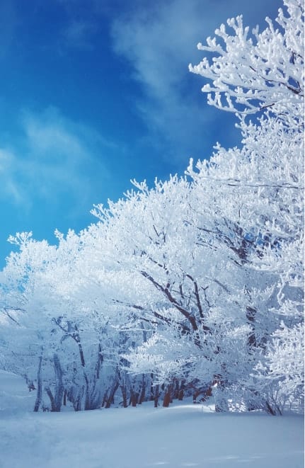 山頂から私に届く、雪あかり | winter campaign