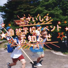 自然学校イベントお知らせ